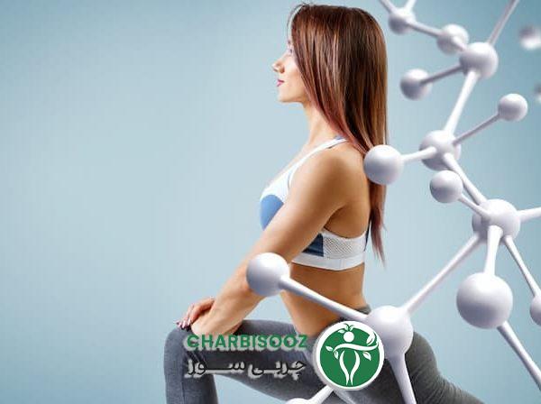 Ways to increase body metabolis5040 ir 1 600x448