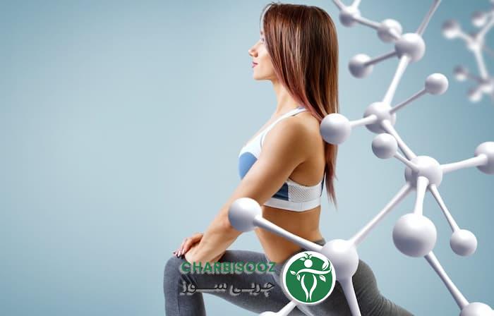 Ways to increase body metabolis5040 ir 1