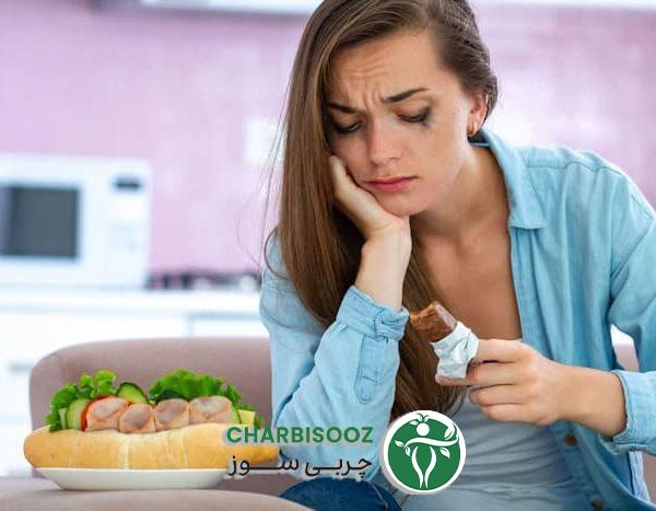 Emotional hunger 5040 ir 1 600x467