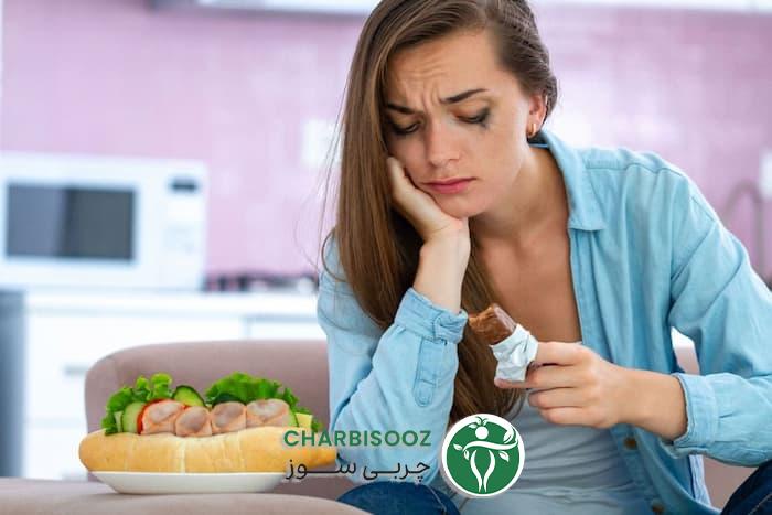 Emotional hunger 5040 ir 1