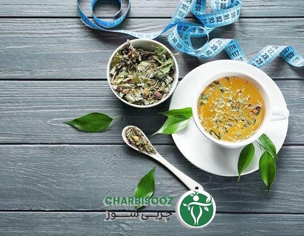 Slimming properties of green tea 5040 ir  1 600x466