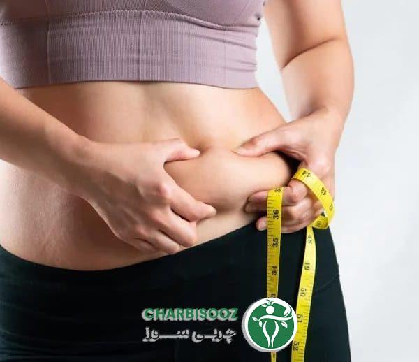 محصولات چربی سوز