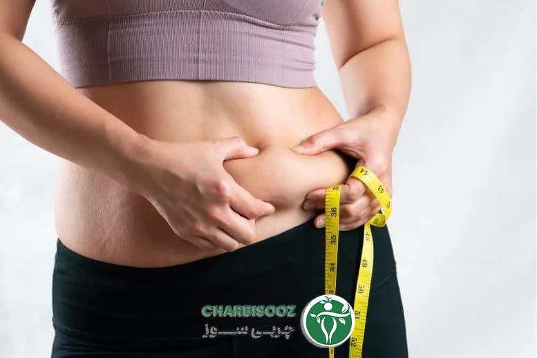 محصولات چربی سوز