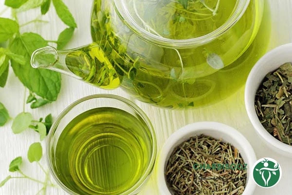 چای سبز چیست و از چه چیزی تهیه می شود